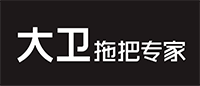 大卫