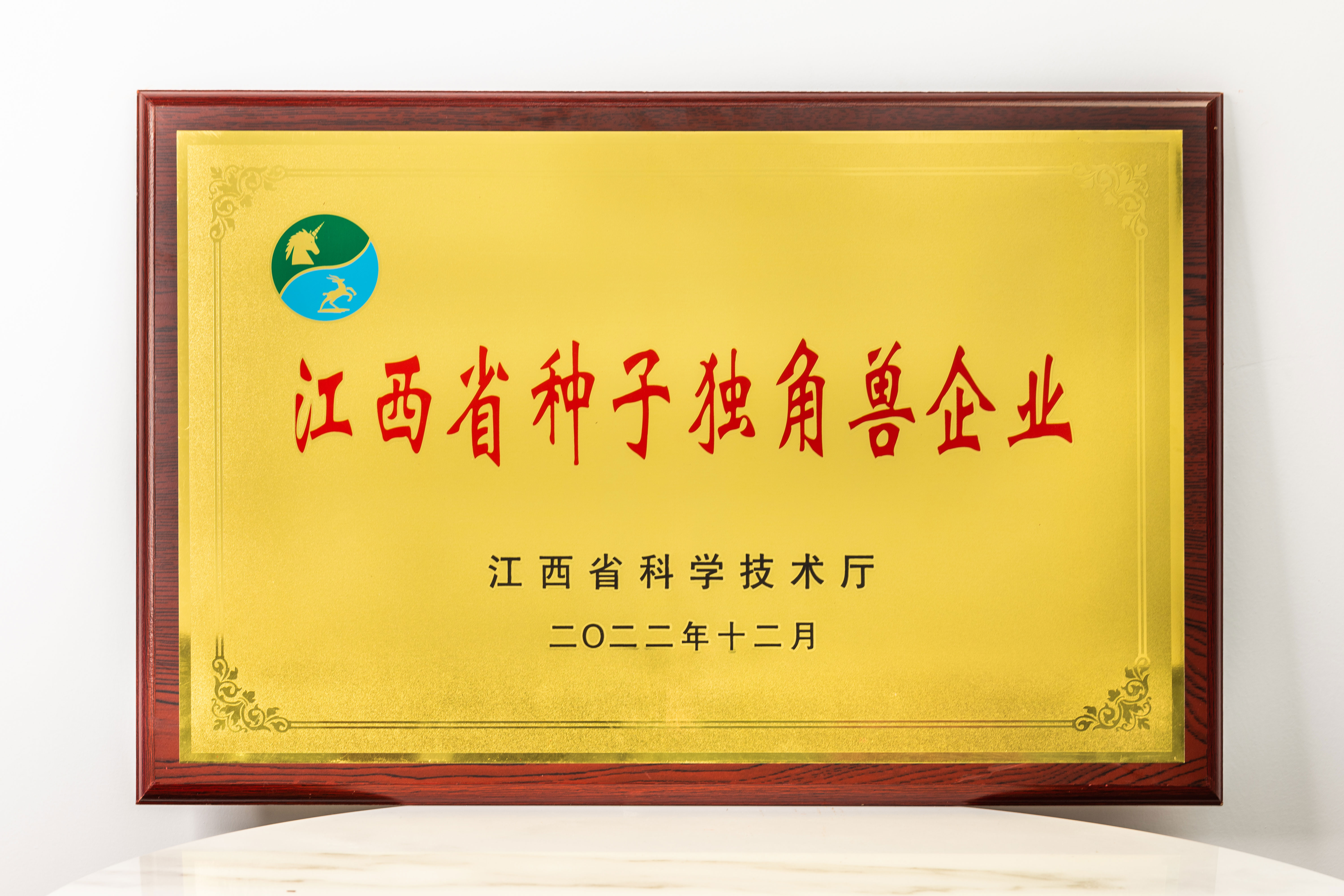 独角兽企业